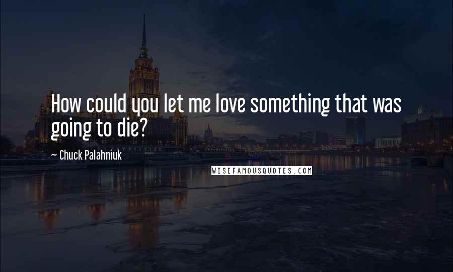 Chuck Palahniuk Quotes: How could you let me love something that was going to die?