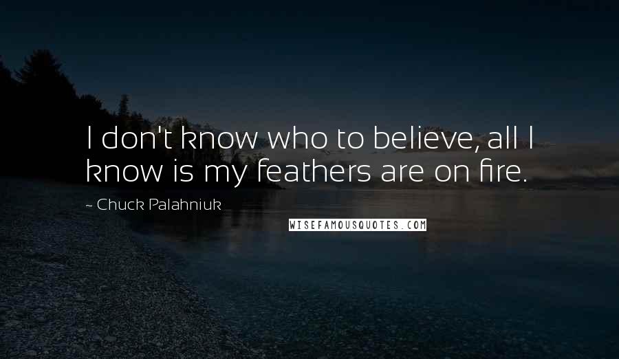 Chuck Palahniuk Quotes: I don't know who to believe, all I know is my feathers are on fire.