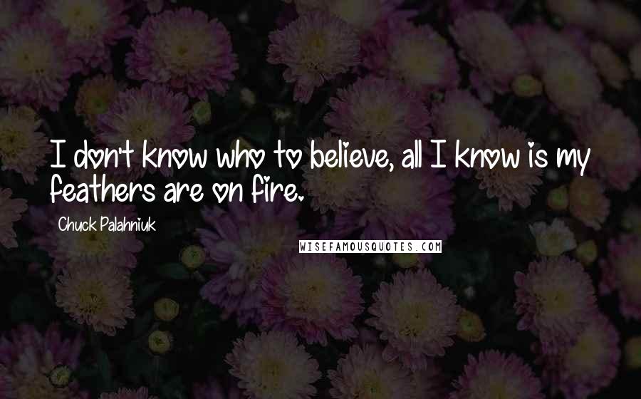 Chuck Palahniuk Quotes: I don't know who to believe, all I know is my feathers are on fire.