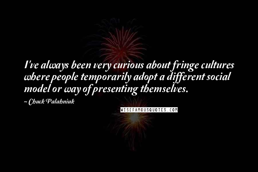 Chuck Palahniuk Quotes: I've always been very curious about fringe cultures where people temporarily adopt a different social model or way of presenting themselves.