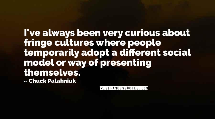 Chuck Palahniuk Quotes: I've always been very curious about fringe cultures where people temporarily adopt a different social model or way of presenting themselves.