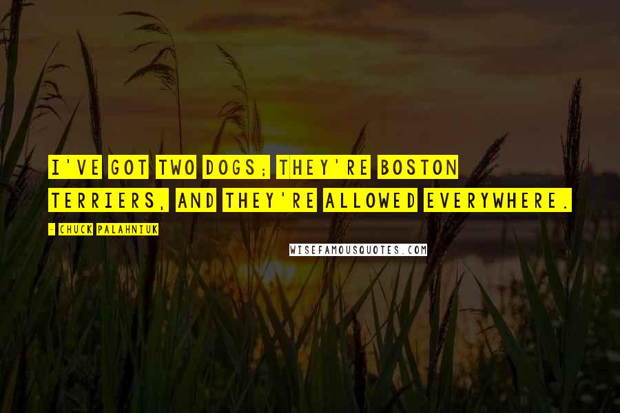 Chuck Palahniuk Quotes: I've got two dogs; they're Boston terriers, and they're allowed everywhere.