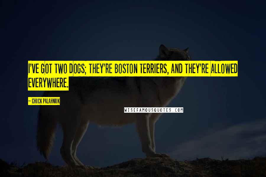 Chuck Palahniuk Quotes: I've got two dogs; they're Boston terriers, and they're allowed everywhere.