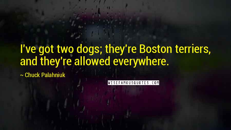 Chuck Palahniuk Quotes: I've got two dogs; they're Boston terriers, and they're allowed everywhere.