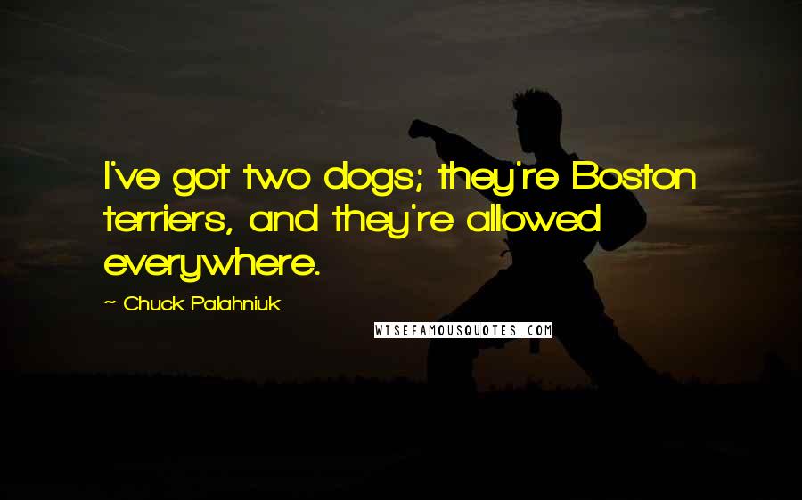 Chuck Palahniuk Quotes: I've got two dogs; they're Boston terriers, and they're allowed everywhere.