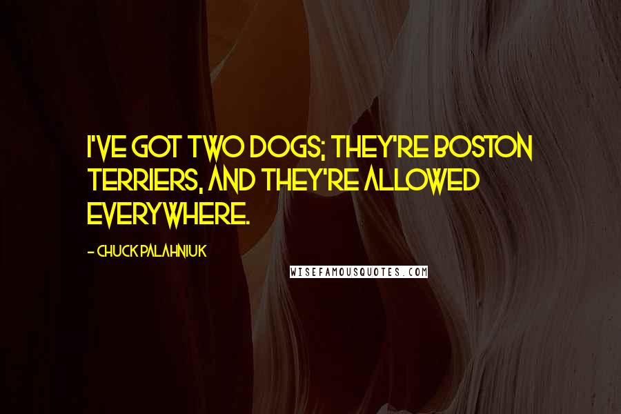 Chuck Palahniuk Quotes: I've got two dogs; they're Boston terriers, and they're allowed everywhere.
