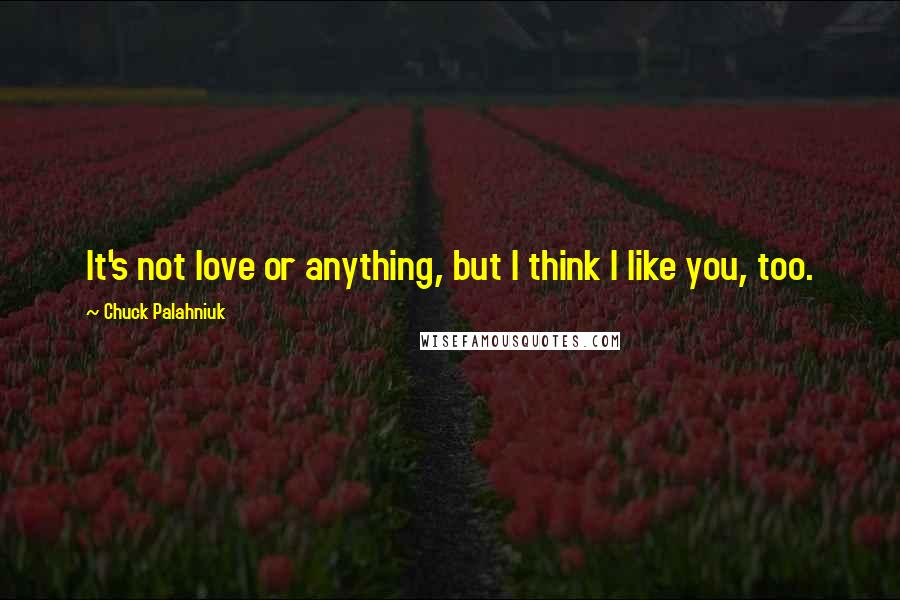 Chuck Palahniuk Quotes: It's not love or anything, but I think I like you, too.