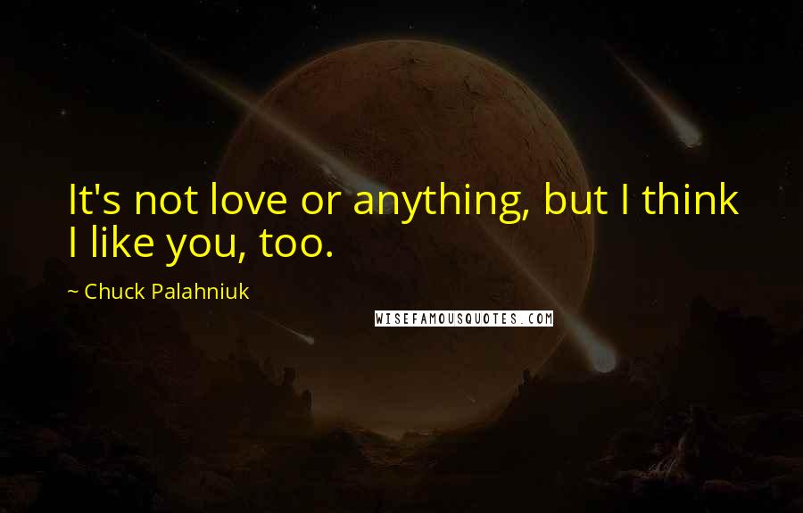 Chuck Palahniuk Quotes: It's not love or anything, but I think I like you, too.