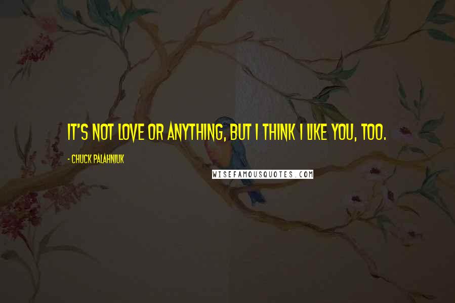 Chuck Palahniuk Quotes: It's not love or anything, but I think I like you, too.