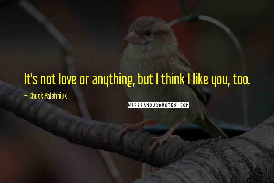 Chuck Palahniuk Quotes: It's not love or anything, but I think I like you, too.