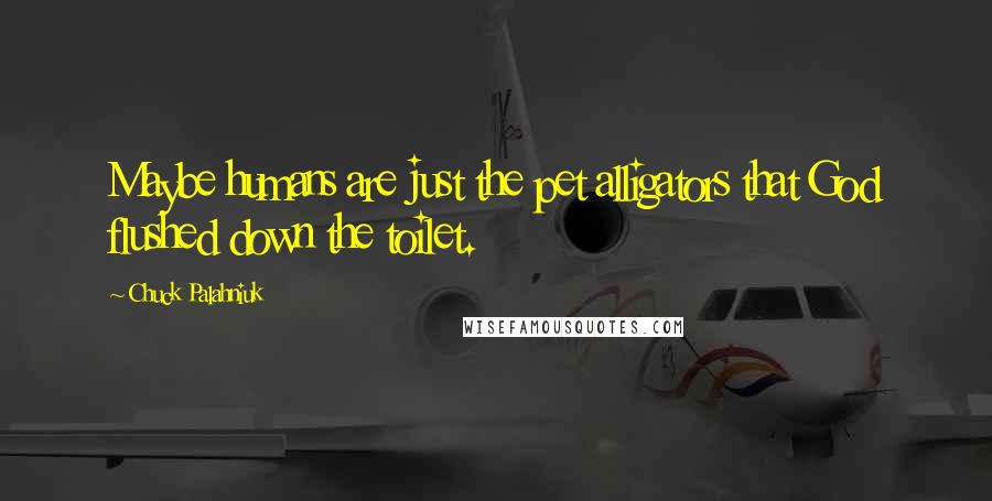 Chuck Palahniuk Quotes: Maybe humans are just the pet alligators that God flushed down the toilet.