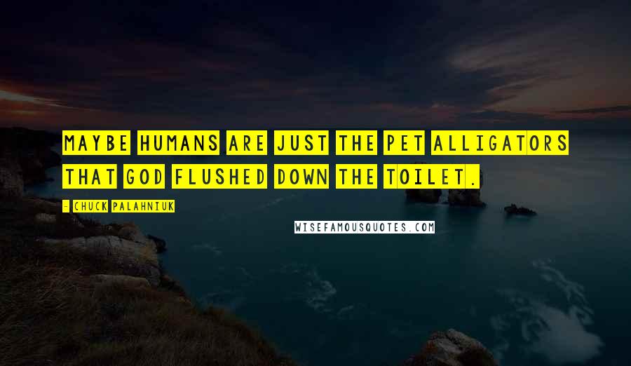 Chuck Palahniuk Quotes: Maybe humans are just the pet alligators that God flushed down the toilet.
