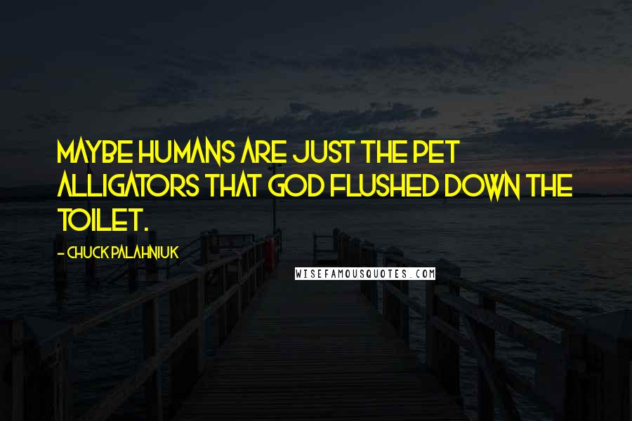 Chuck Palahniuk Quotes: Maybe humans are just the pet alligators that God flushed down the toilet.