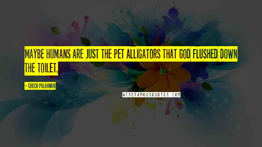 Chuck Palahniuk Quotes: Maybe humans are just the pet alligators that God flushed down the toilet.