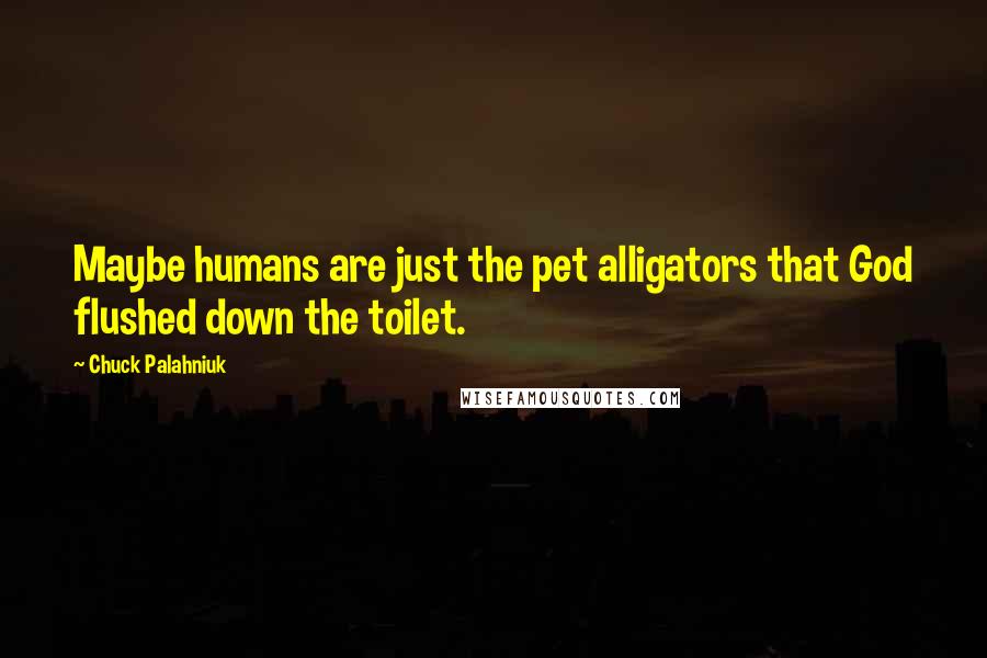 Chuck Palahniuk Quotes: Maybe humans are just the pet alligators that God flushed down the toilet.