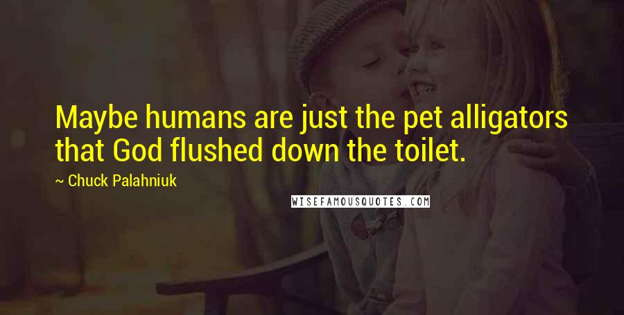 Chuck Palahniuk Quotes: Maybe humans are just the pet alligators that God flushed down the toilet.