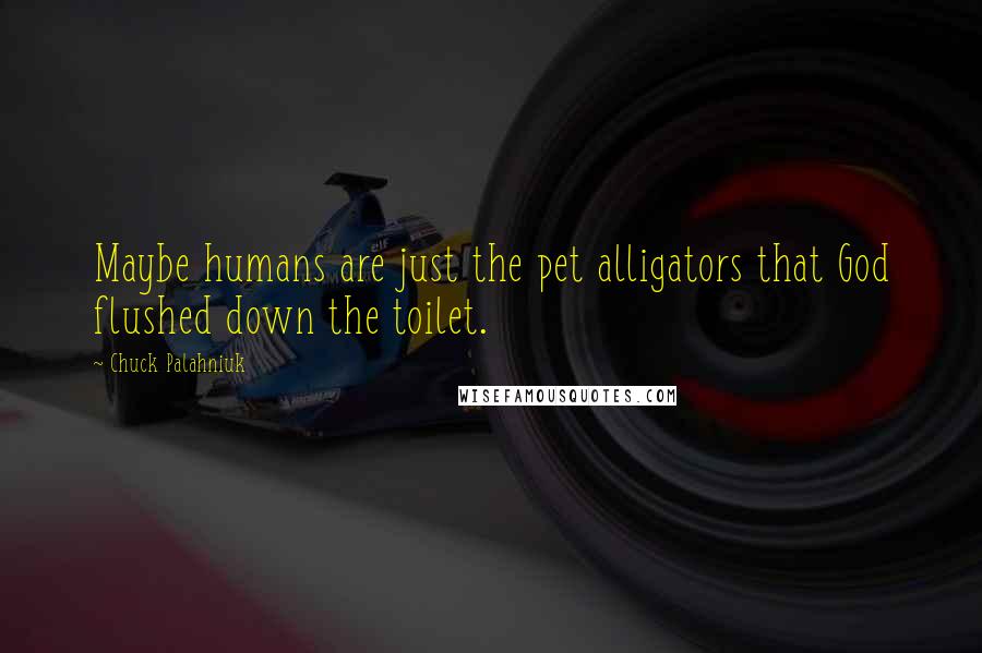 Chuck Palahniuk Quotes: Maybe humans are just the pet alligators that God flushed down the toilet.