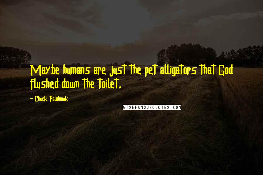 Chuck Palahniuk Quotes: Maybe humans are just the pet alligators that God flushed down the toilet.