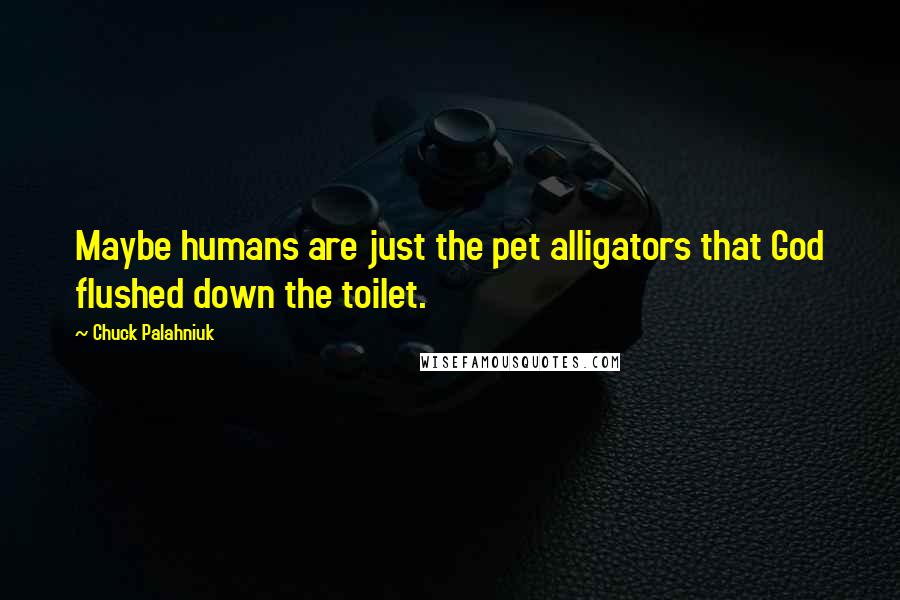 Chuck Palahniuk Quotes: Maybe humans are just the pet alligators that God flushed down the toilet.