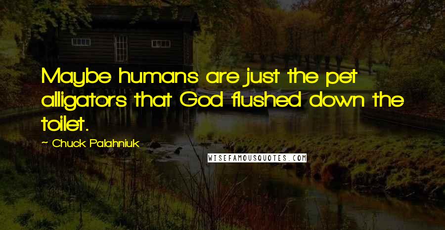Chuck Palahniuk Quotes: Maybe humans are just the pet alligators that God flushed down the toilet.