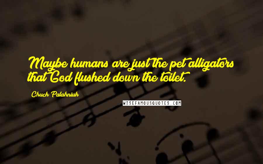 Chuck Palahniuk Quotes: Maybe humans are just the pet alligators that God flushed down the toilet.