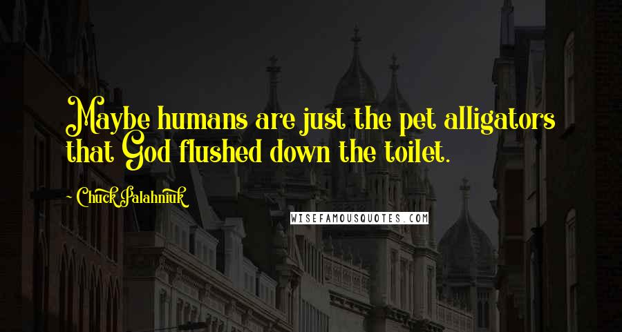 Chuck Palahniuk Quotes: Maybe humans are just the pet alligators that God flushed down the toilet.
