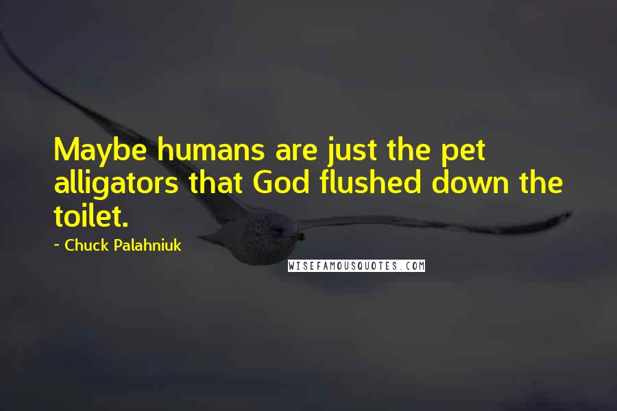 Chuck Palahniuk Quotes: Maybe humans are just the pet alligators that God flushed down the toilet.