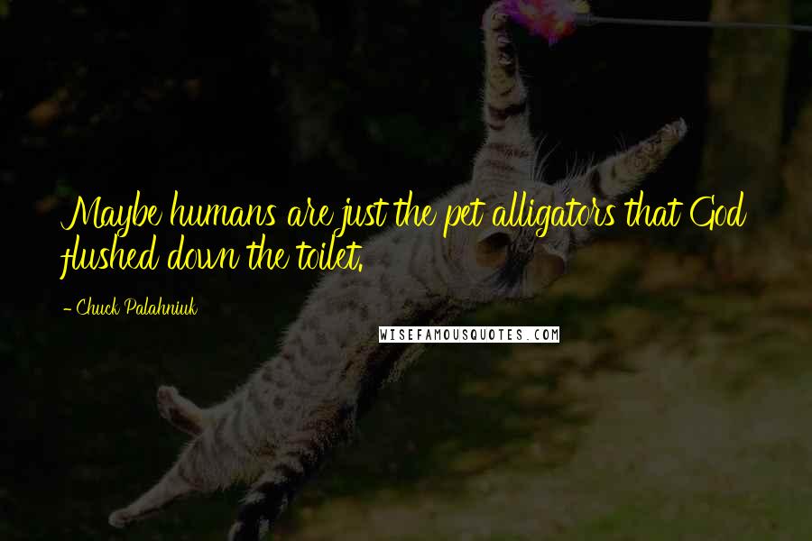Chuck Palahniuk Quotes: Maybe humans are just the pet alligators that God flushed down the toilet.