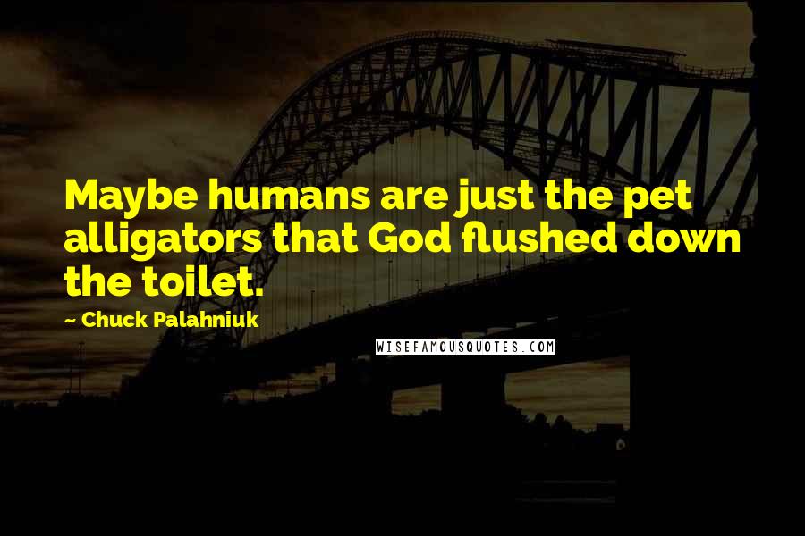 Chuck Palahniuk Quotes: Maybe humans are just the pet alligators that God flushed down the toilet.