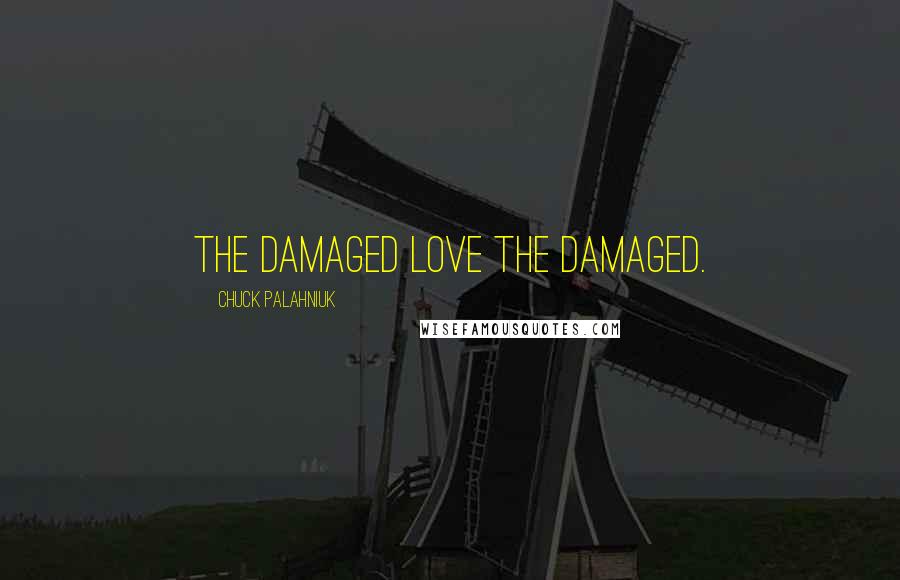 Chuck Palahniuk Quotes: The damaged love the damaged.