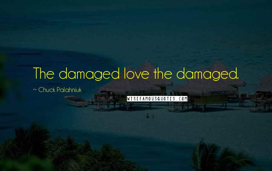 Chuck Palahniuk Quotes: The damaged love the damaged.