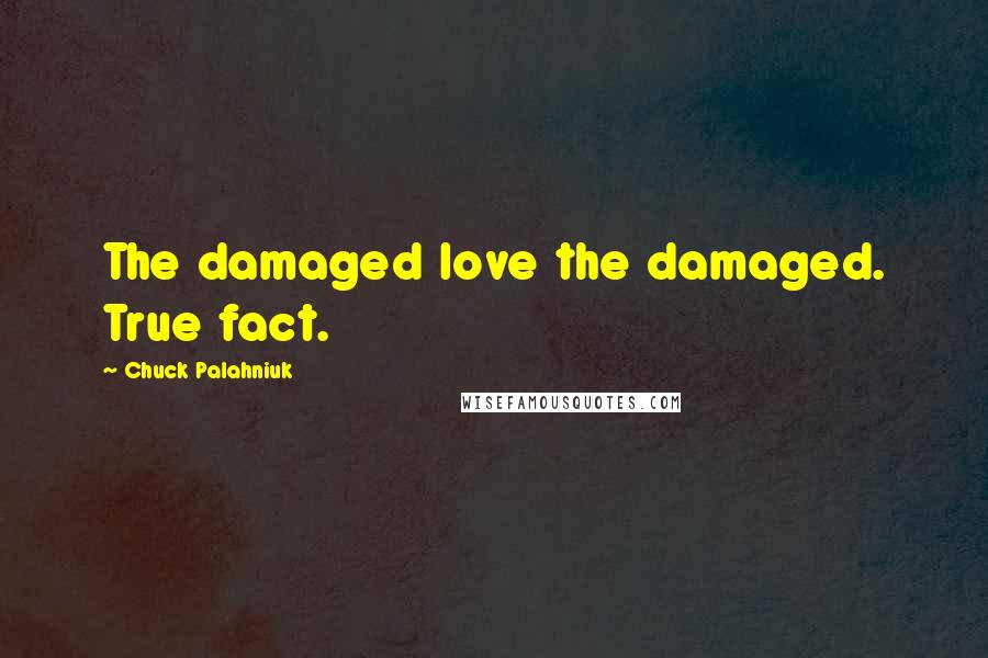 Chuck Palahniuk Quotes: The damaged love the damaged. True fact.