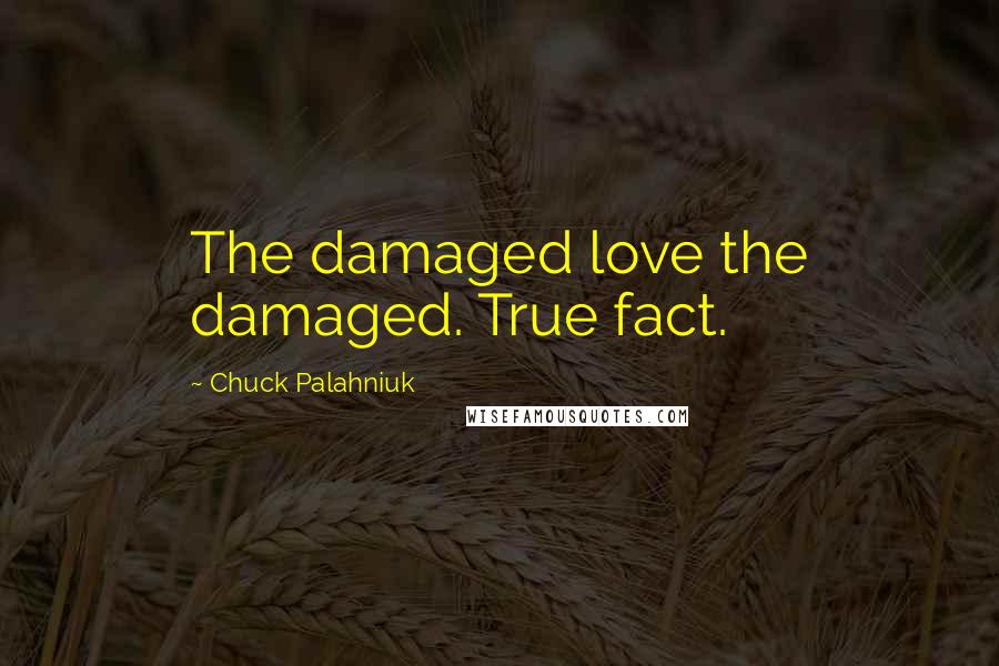 Chuck Palahniuk Quotes: The damaged love the damaged. True fact.
