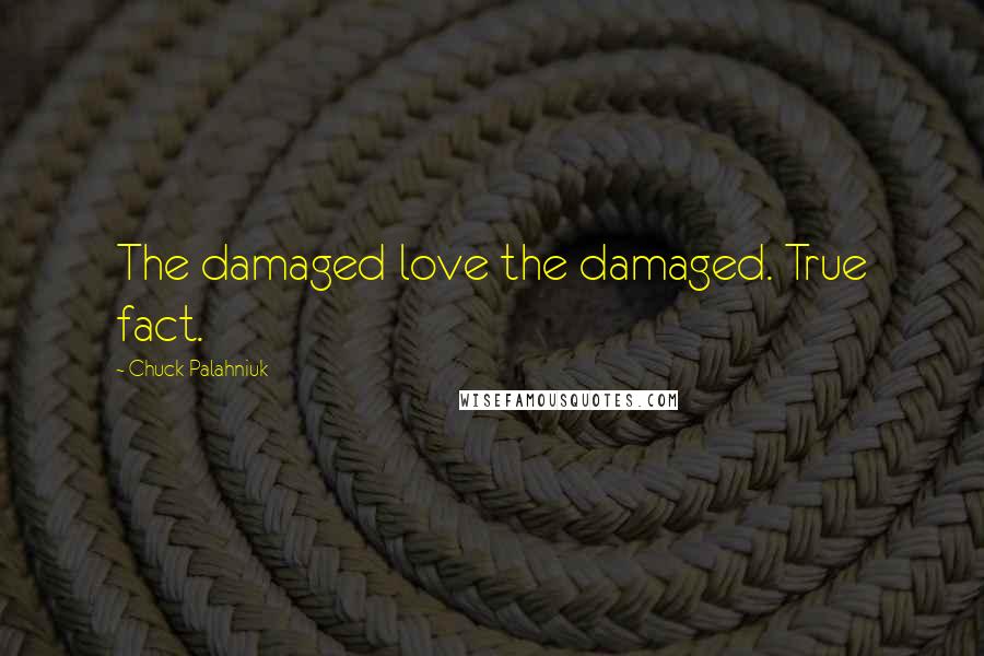 Chuck Palahniuk Quotes: The damaged love the damaged. True fact.