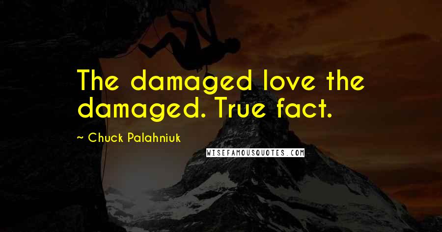 Chuck Palahniuk Quotes: The damaged love the damaged. True fact.