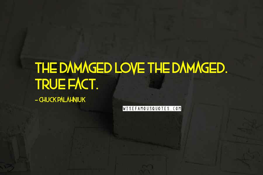 Chuck Palahniuk Quotes: The damaged love the damaged. True fact.