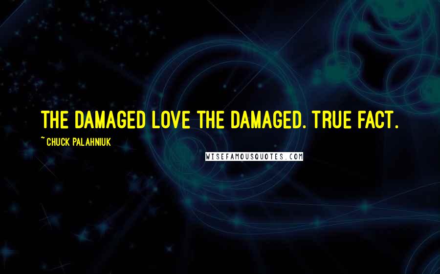 Chuck Palahniuk Quotes: The damaged love the damaged. True fact.