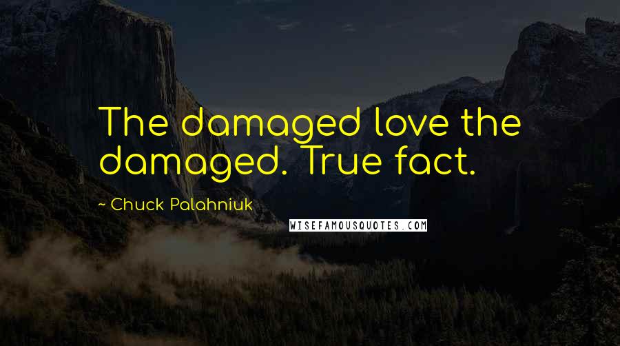 Chuck Palahniuk Quotes: The damaged love the damaged. True fact.