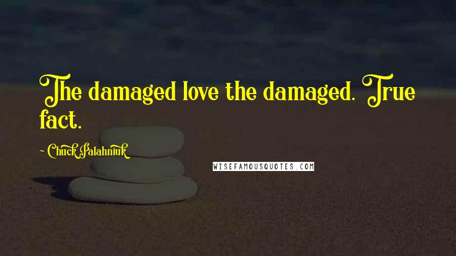 Chuck Palahniuk Quotes: The damaged love the damaged. True fact.