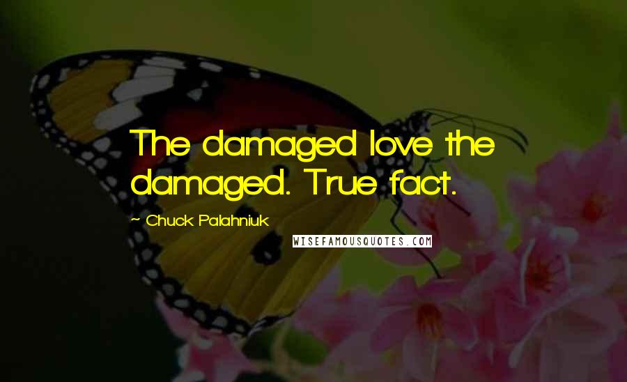 Chuck Palahniuk Quotes: The damaged love the damaged. True fact.