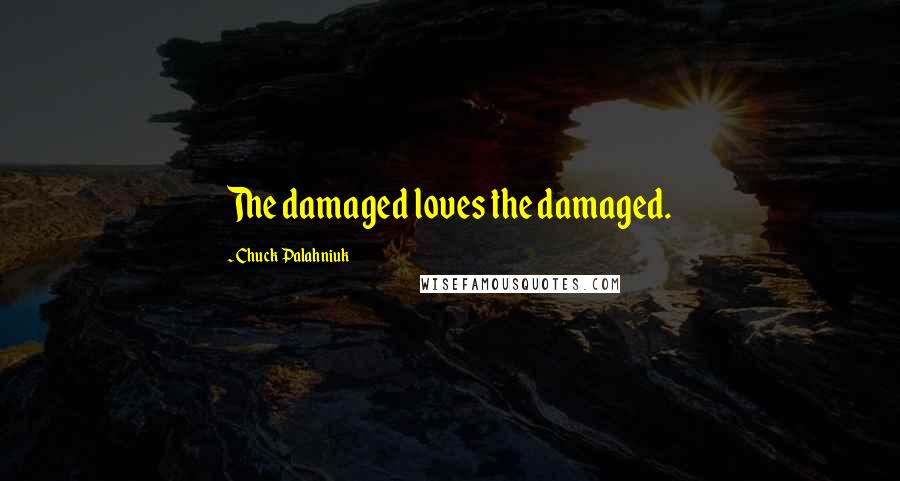 Chuck Palahniuk Quotes: The damaged loves the damaged.