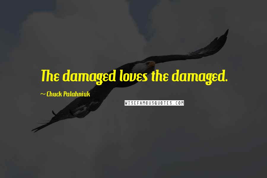 Chuck Palahniuk Quotes: The damaged loves the damaged.