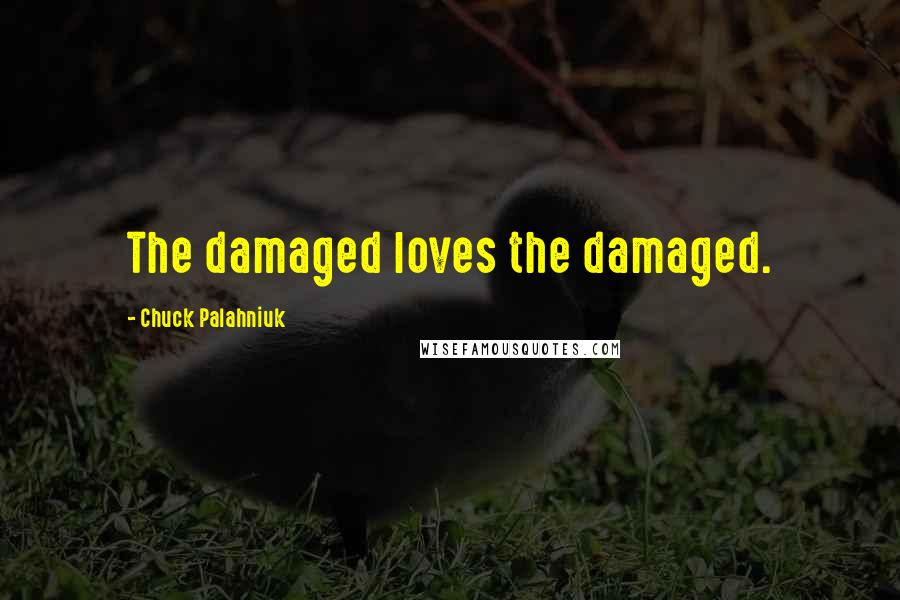 Chuck Palahniuk Quotes: The damaged loves the damaged.