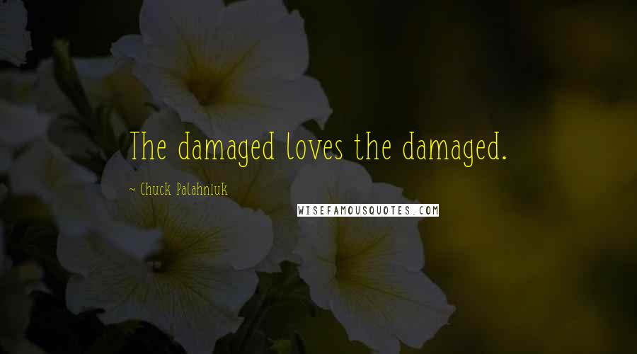 Chuck Palahniuk Quotes: The damaged loves the damaged.