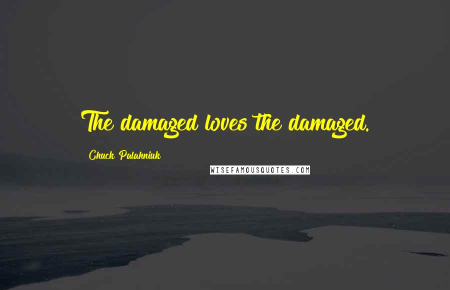 Chuck Palahniuk Quotes: The damaged loves the damaged.