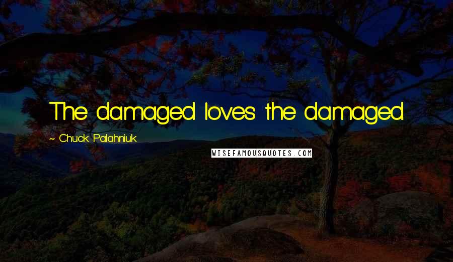 Chuck Palahniuk Quotes: The damaged loves the damaged.