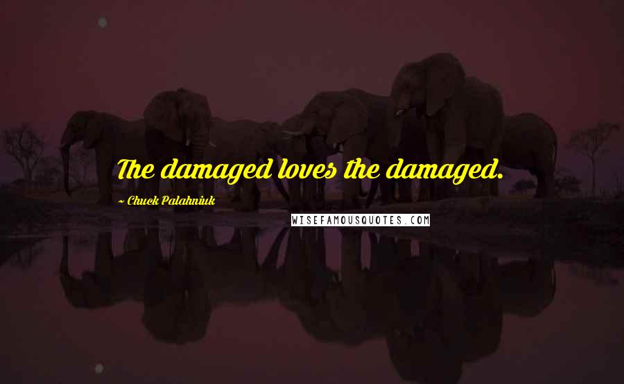 Chuck Palahniuk Quotes: The damaged loves the damaged.