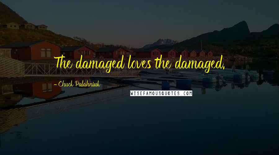 Chuck Palahniuk Quotes: The damaged loves the damaged.