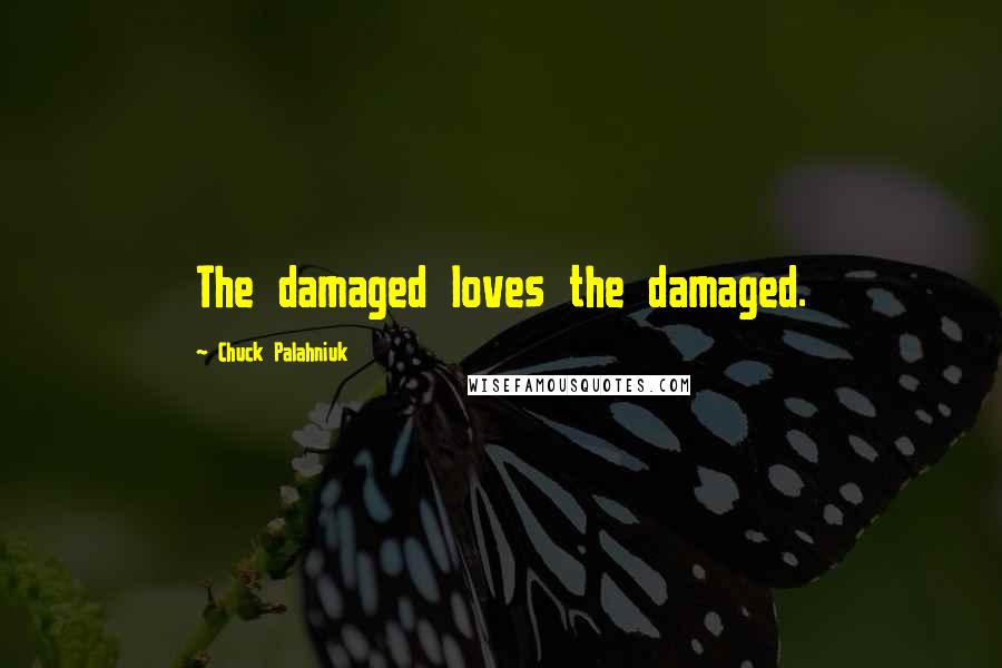 Chuck Palahniuk Quotes: The damaged loves the damaged.