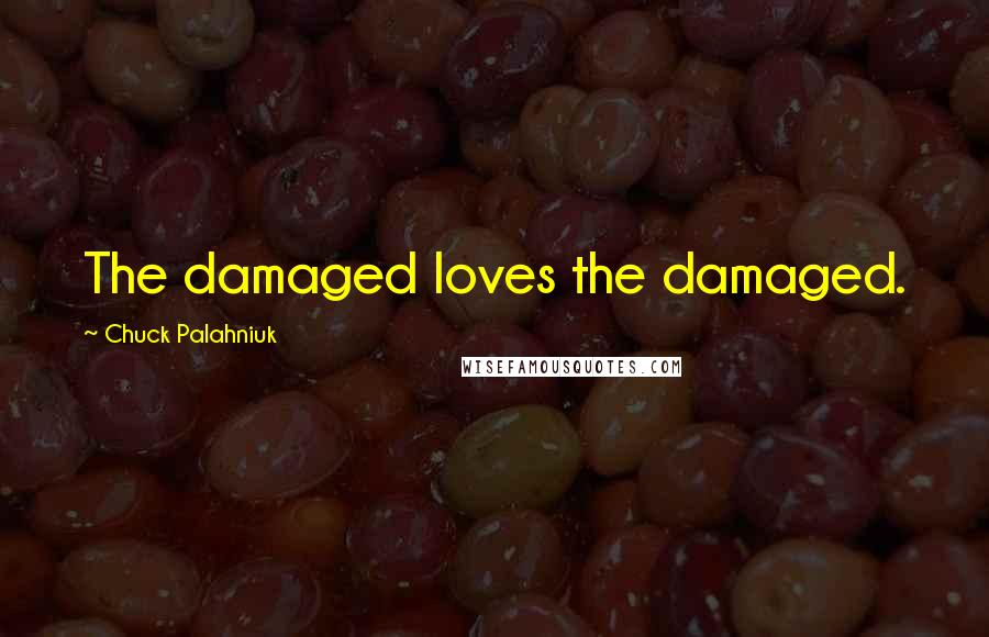 Chuck Palahniuk Quotes: The damaged loves the damaged.